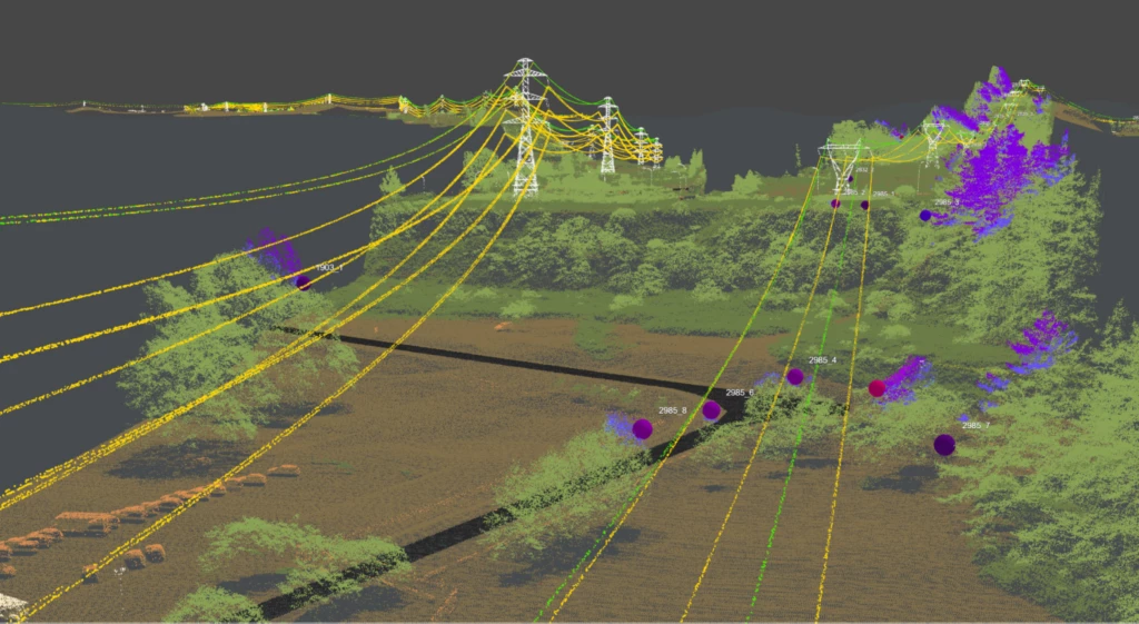 Image from Esri